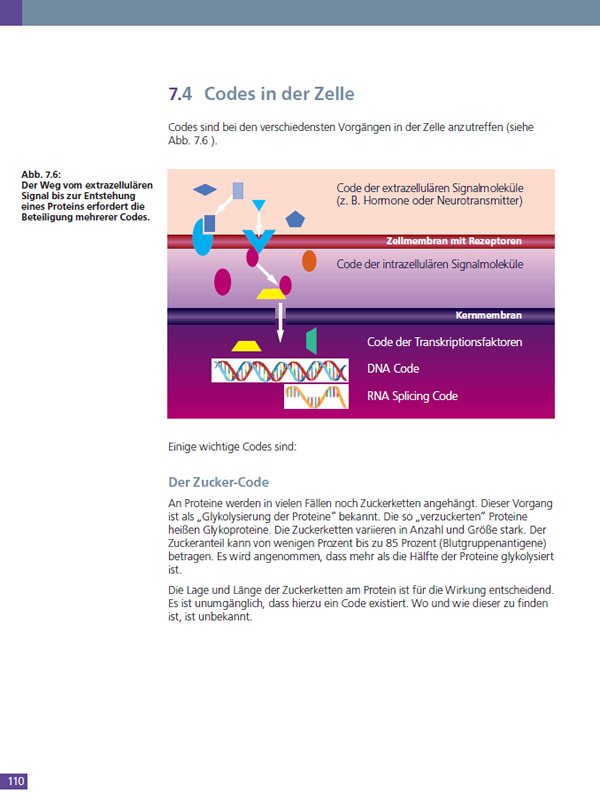 Leseprobe: Codes in der Zelle